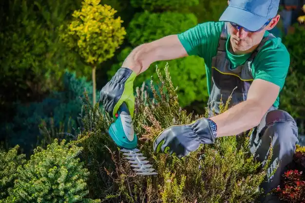 landscaping services Wanakah